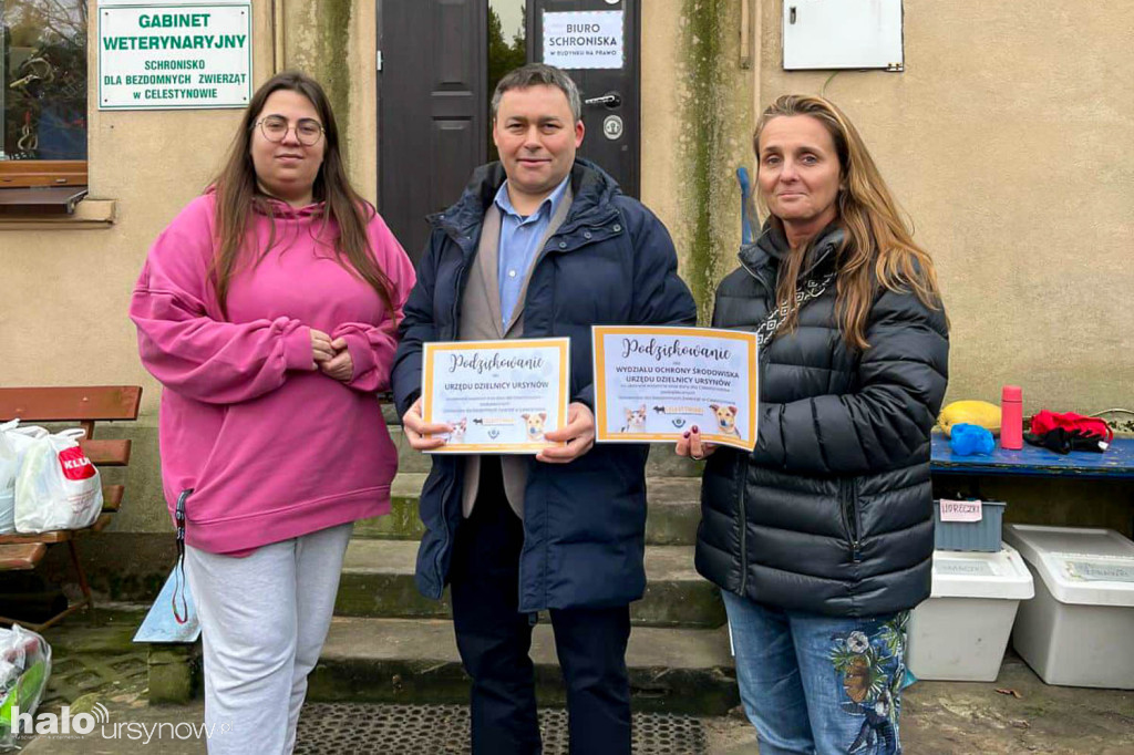 Alert dla zwierząt. Rekordowa zbiórka