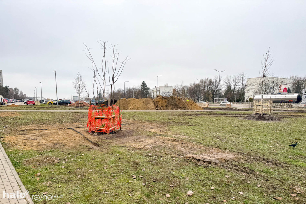 Tak powstaje Park nad POW przy osiedlu Kazury