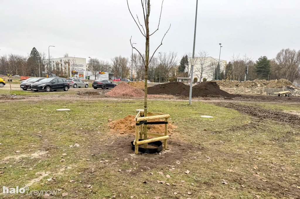 Tak powstaje Park nad POW przy osiedlu Kazury