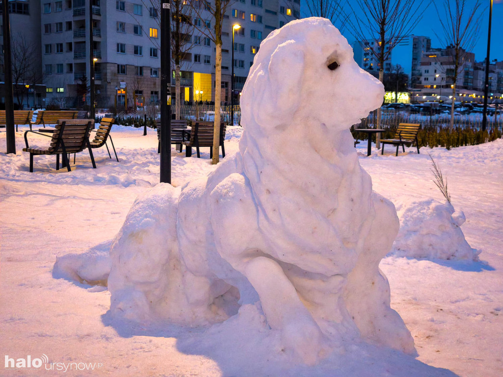 Rzeźby ze śniegu na Ursynowie. Zobacz!
