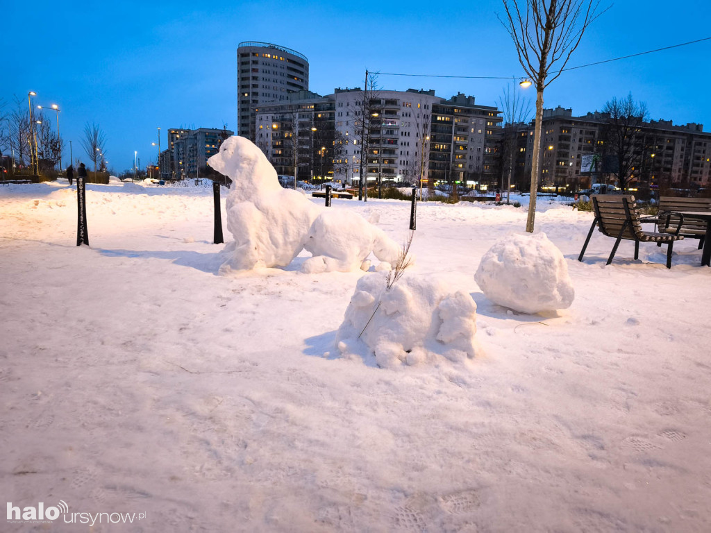 Rzeźby ze śniegu na Ursynowie. Zobacz!