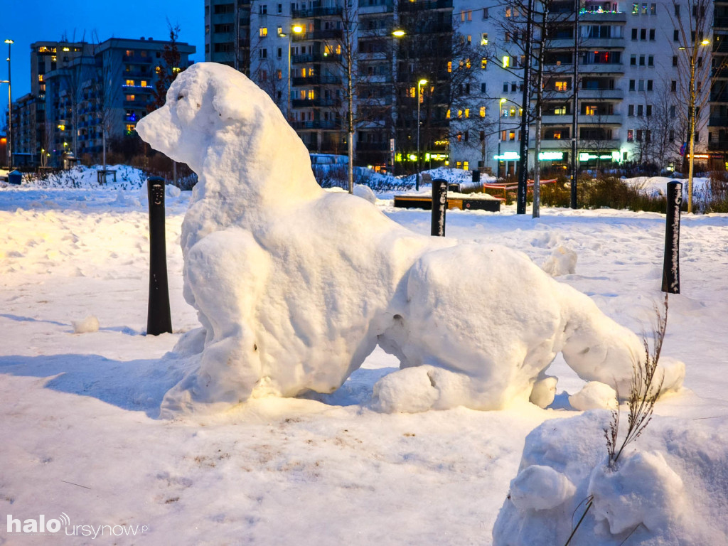 Rzeźby ze śniegu na Ursynowie. Zobacz!