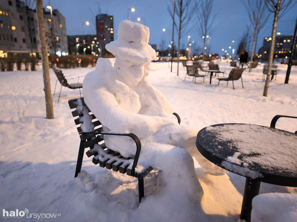 Rzeźby ze śniegu na Ursynowie. Zobacz!