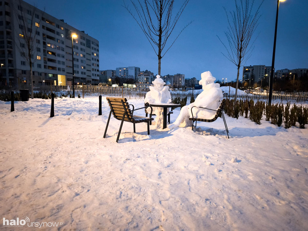 Rzeźby ze śniegu na Ursynowie. Zobacz!
