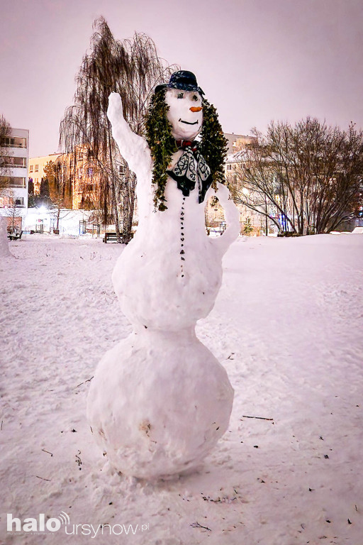 Rzeźby ze śniegu na Ursynowie. Zobacz!