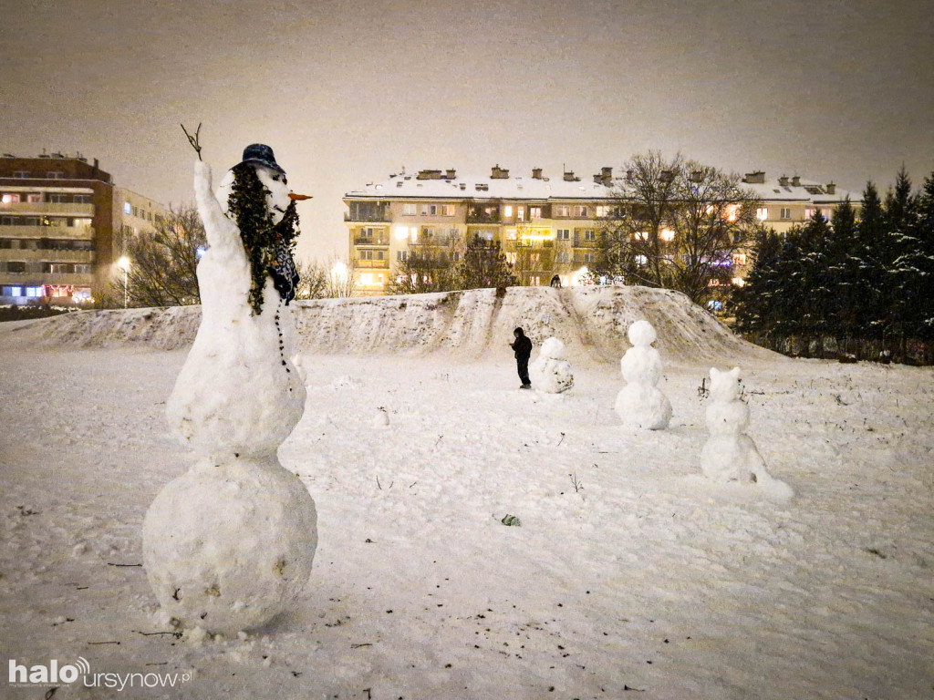 Rzeźby ze śniegu na Ursynowie. Zobacz!