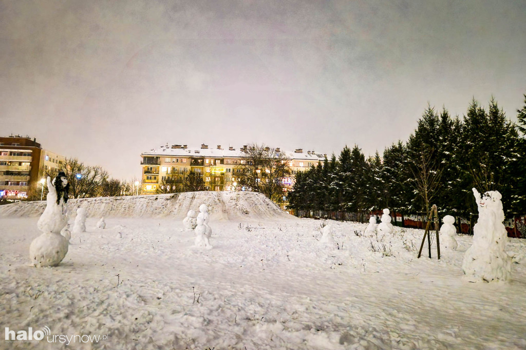 Rzeźby ze śniegu na Ursynowie. Zobacz!