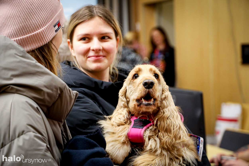 Tak Orkiestra zagrała na Ursynowie. Zobacz zdjęcia