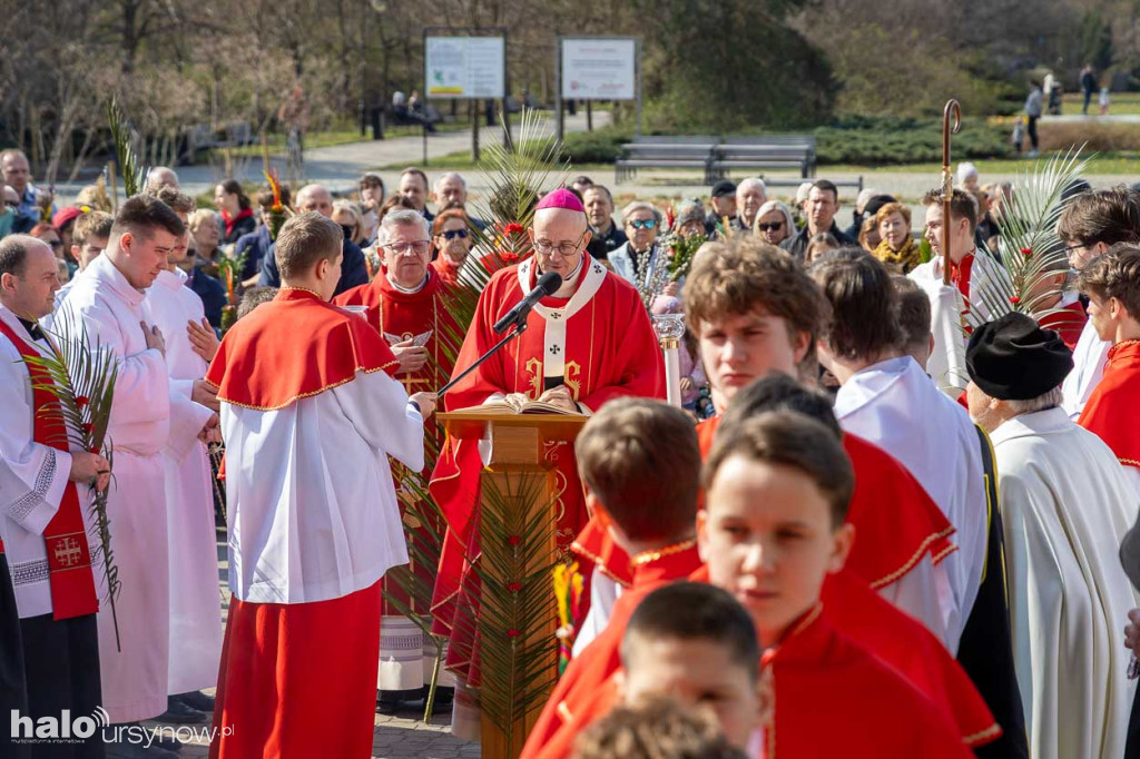 Niedziela Palmowa na Ursynowie