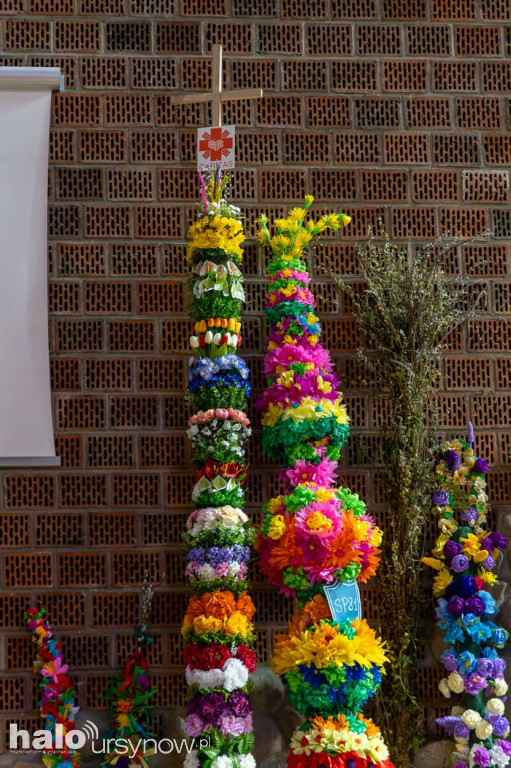 Niedziela Palmowa na Ursynowie