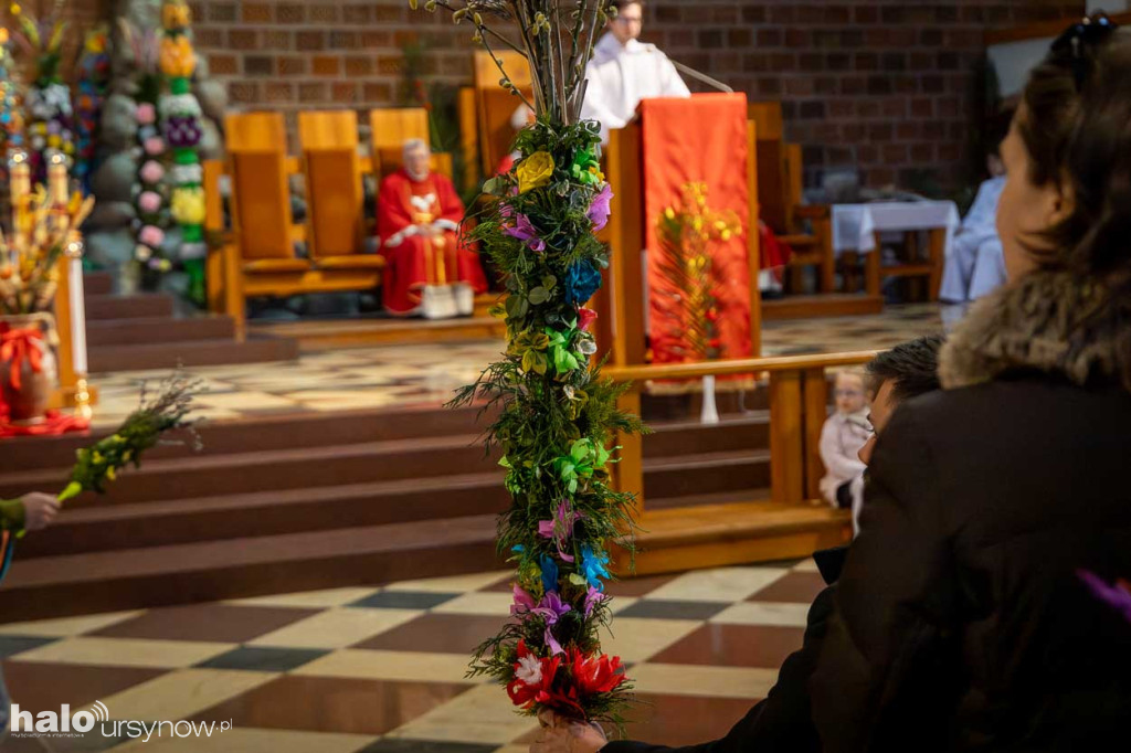 Niedziela Palmowa na Ursynowie