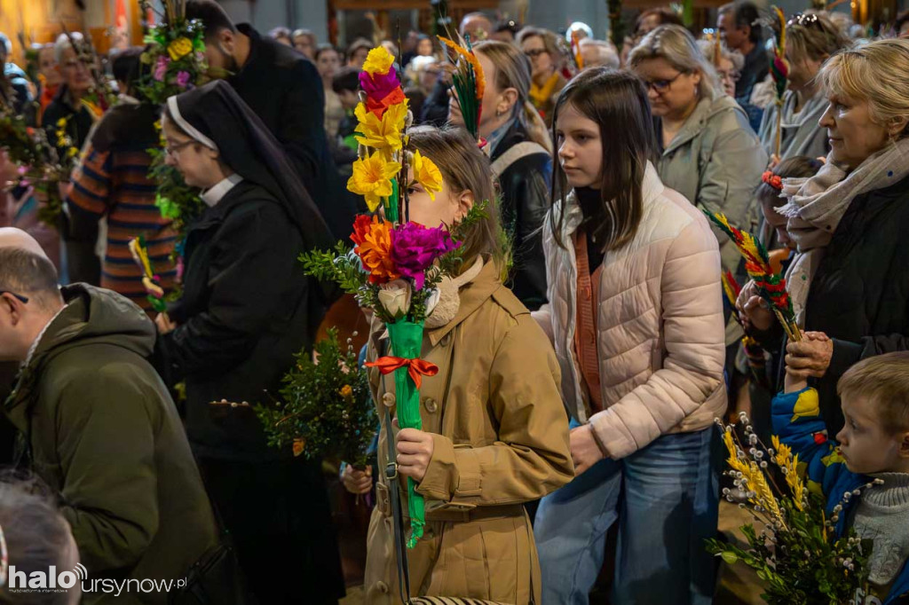Niedziela Palmowa na Ursynowie