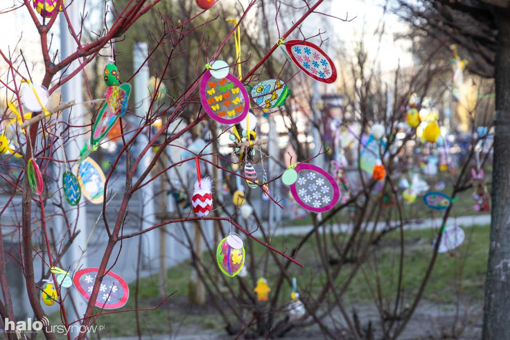 Kolorowo pod ratuszem!