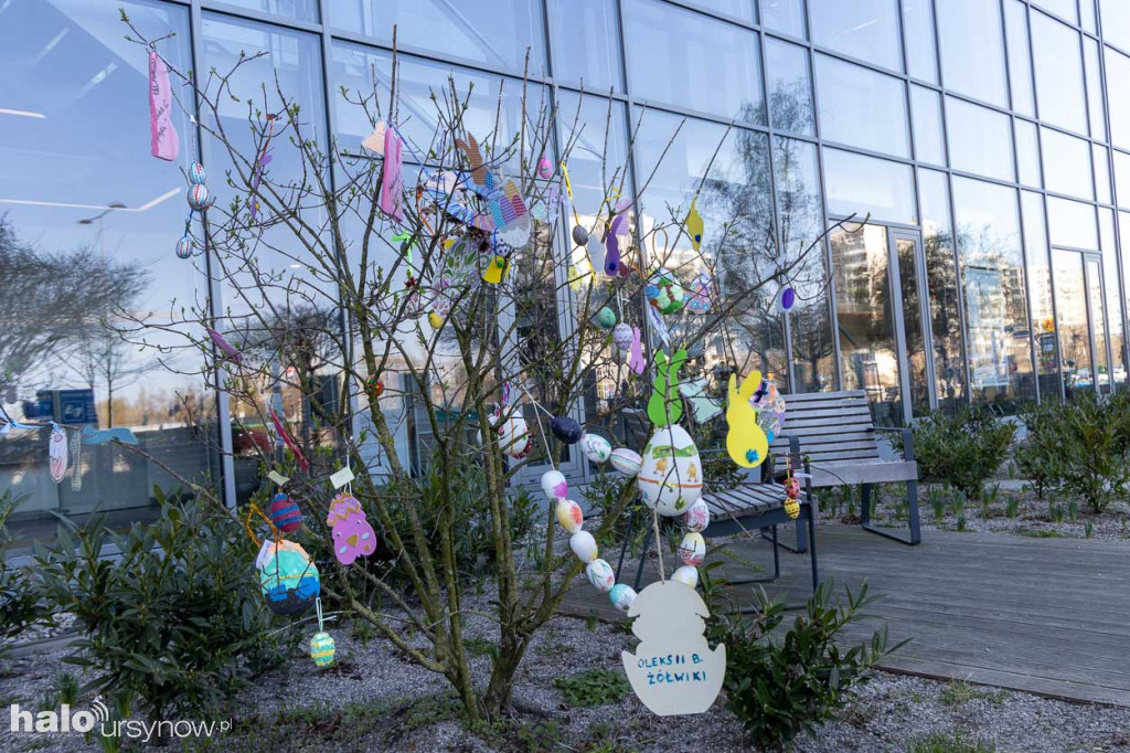 Kolorowo pod ratuszem!