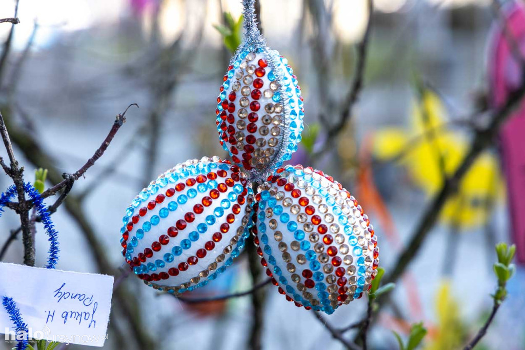 Kolorowo pod ratuszem!