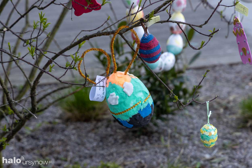 Kolorowo pod ratuszem!