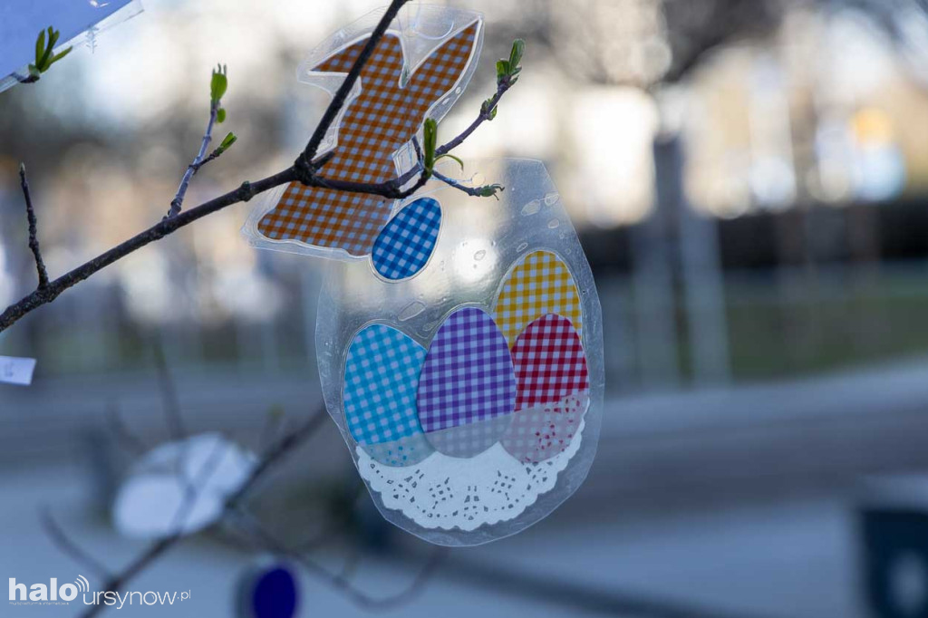 Kolorowo pod ratuszem!