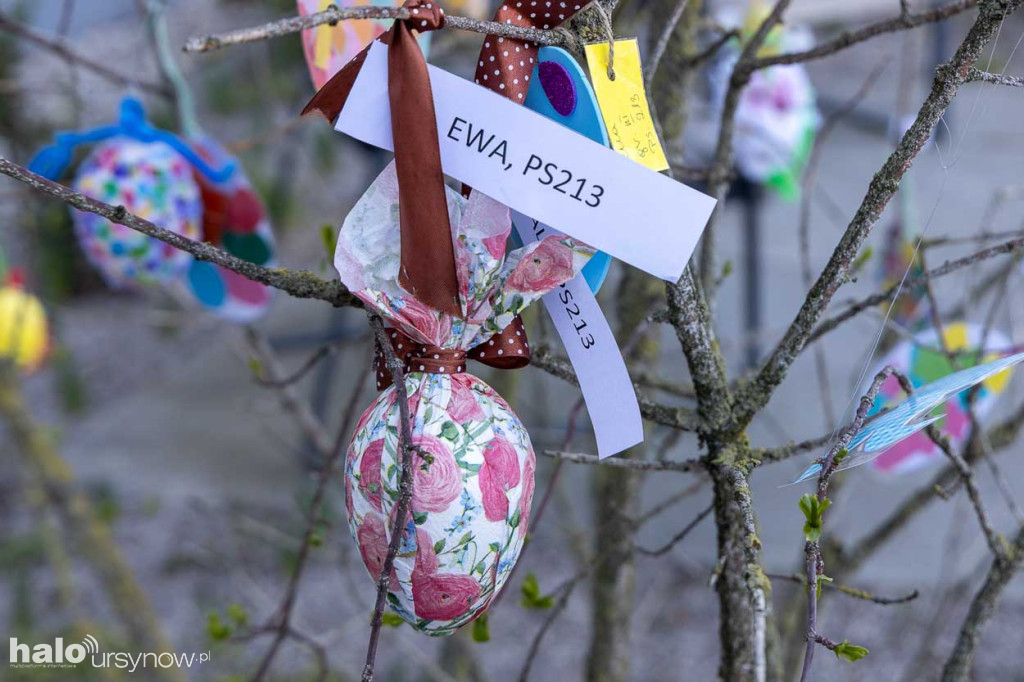 Kolorowo pod ratuszem!