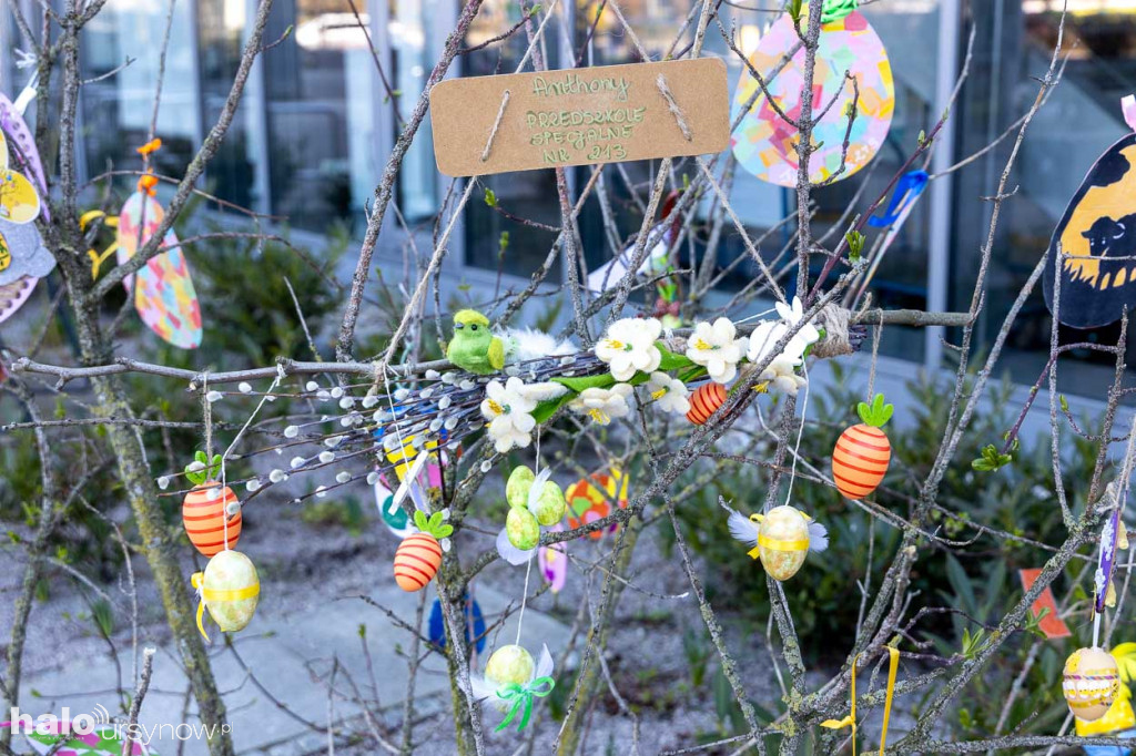 Kolorowo pod ratuszem!