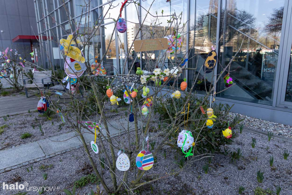 Kolorowo pod ratuszem!