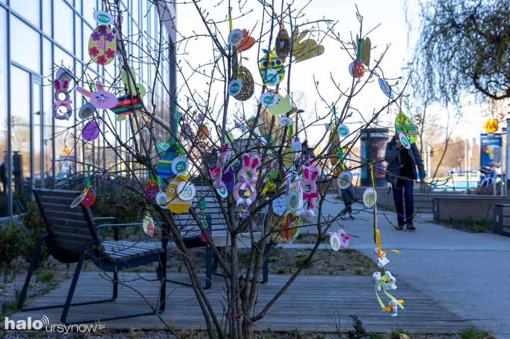 Kolorowo pod ratuszem!