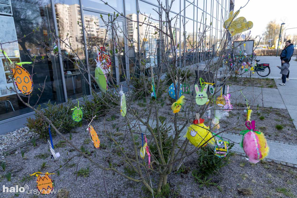 Kolorowo pod ratuszem!