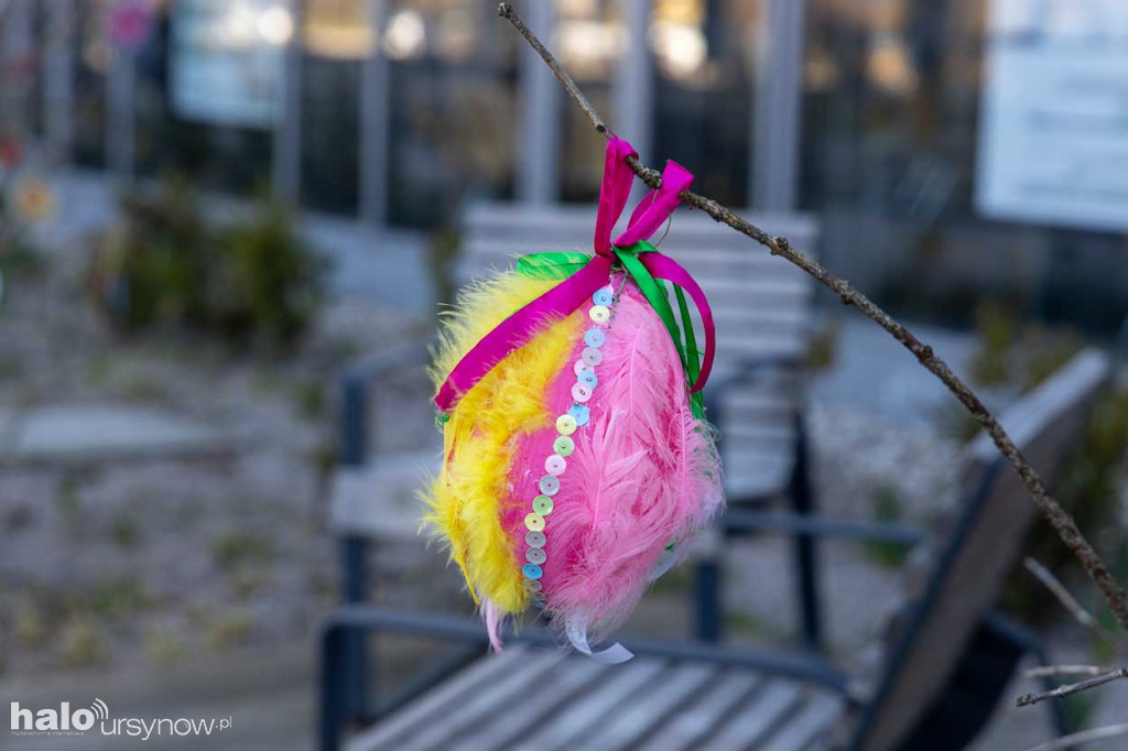 Kolorowo pod ratuszem!