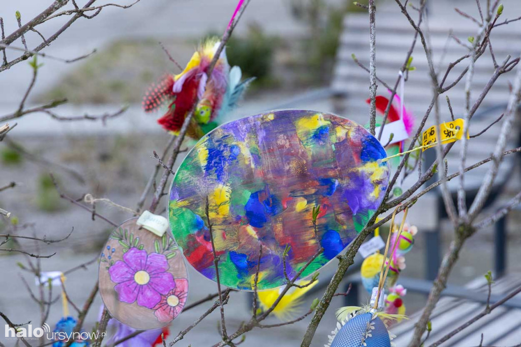 Kolorowo pod ratuszem!