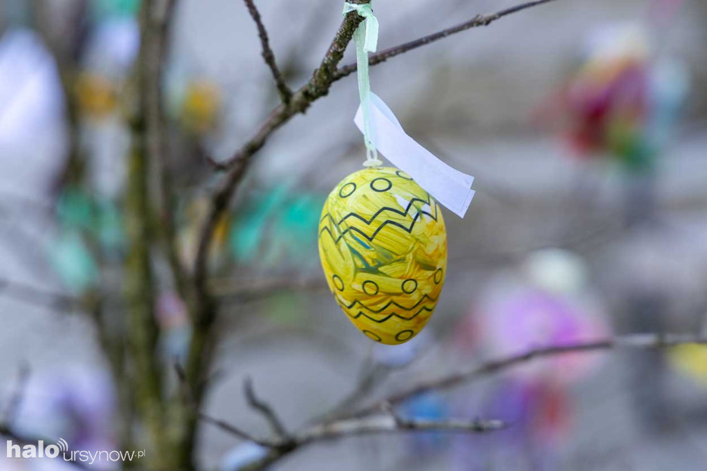 Kolorowo pod ratuszem!