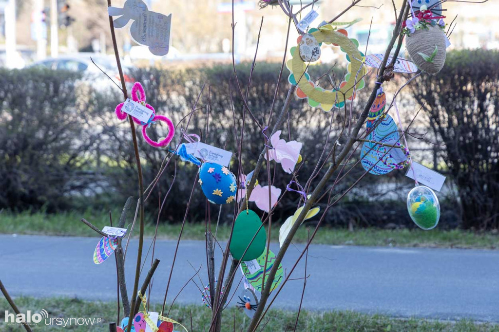 Kolorowo pod ratuszem!