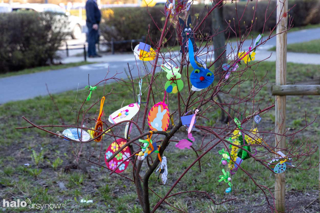 Kolorowo pod ratuszem!