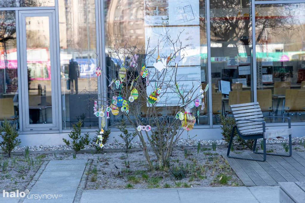 Kolorowo pod ratuszem!