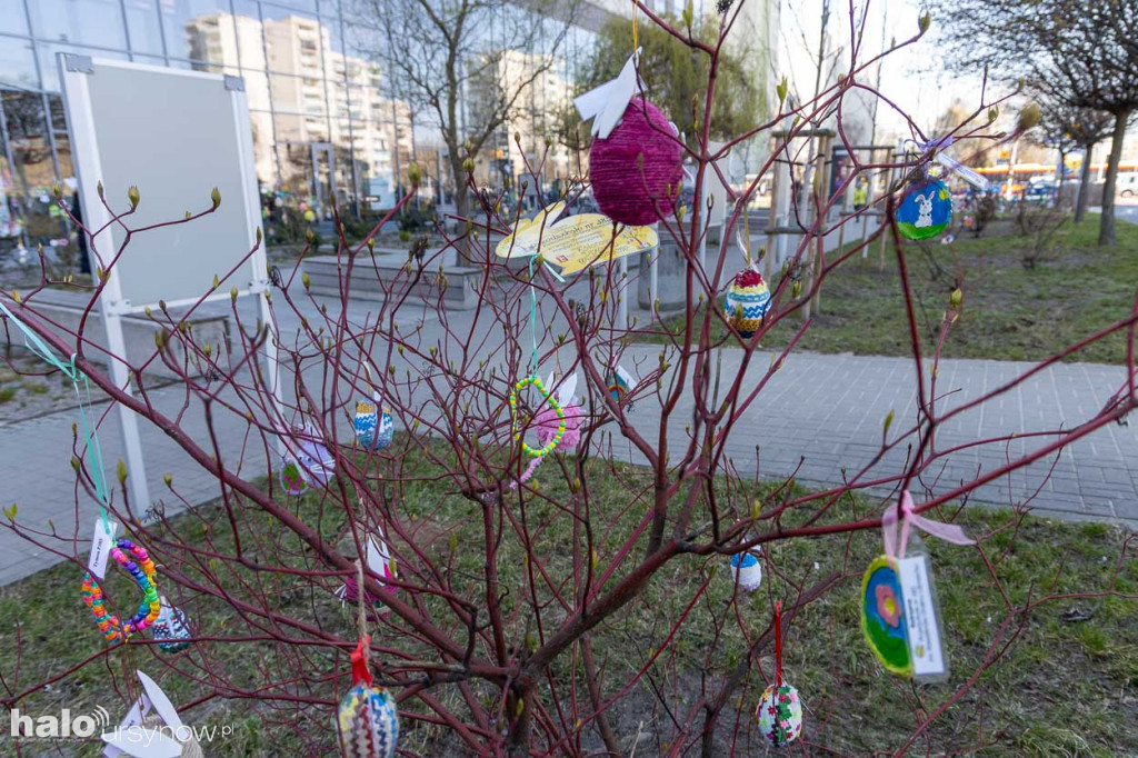 Kolorowo pod ratuszem!