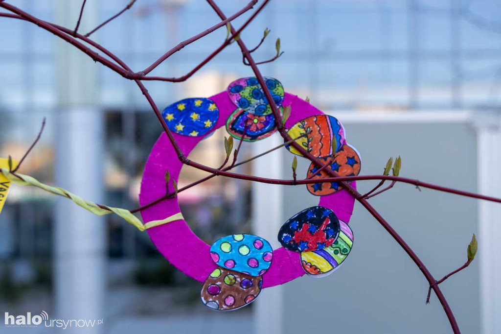 Kolorowo pod ratuszem!