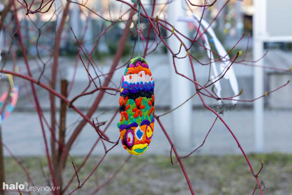 Kolorowo pod ratuszem!