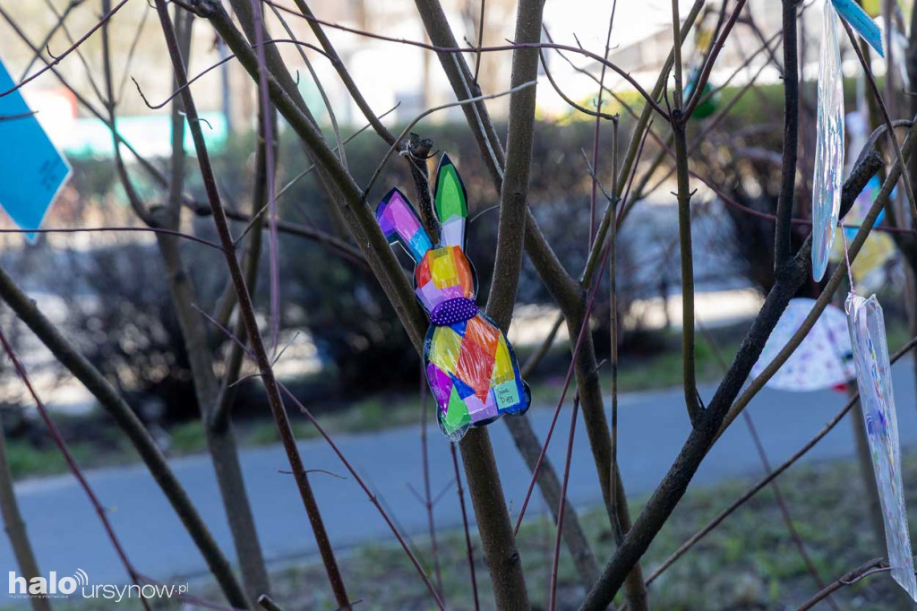 Kolorowo pod ratuszem!