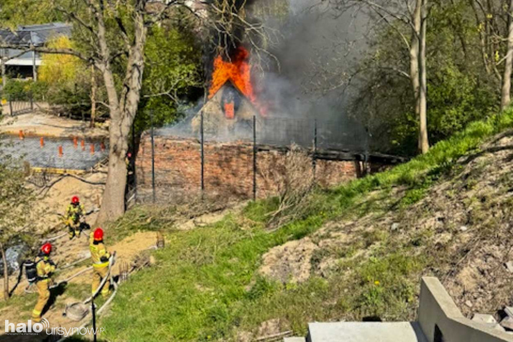 Pożar na ul. Orszady na skarpie ursynowskiej