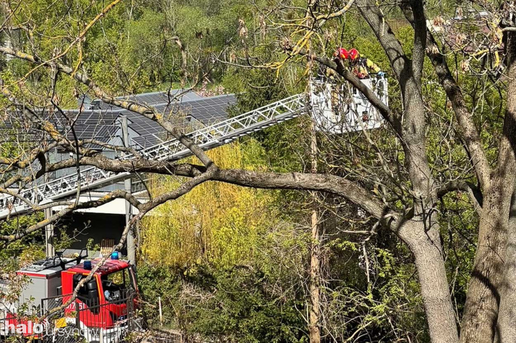 Pożar na ul. Orszady na skarpie ursynowskiej
