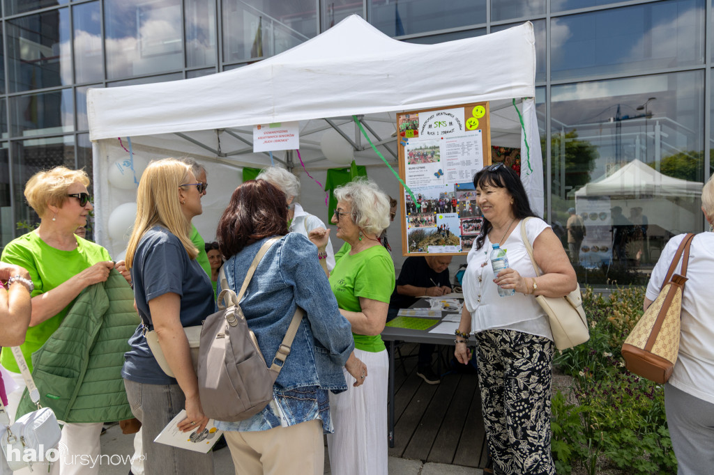 Piknik NGO 2026