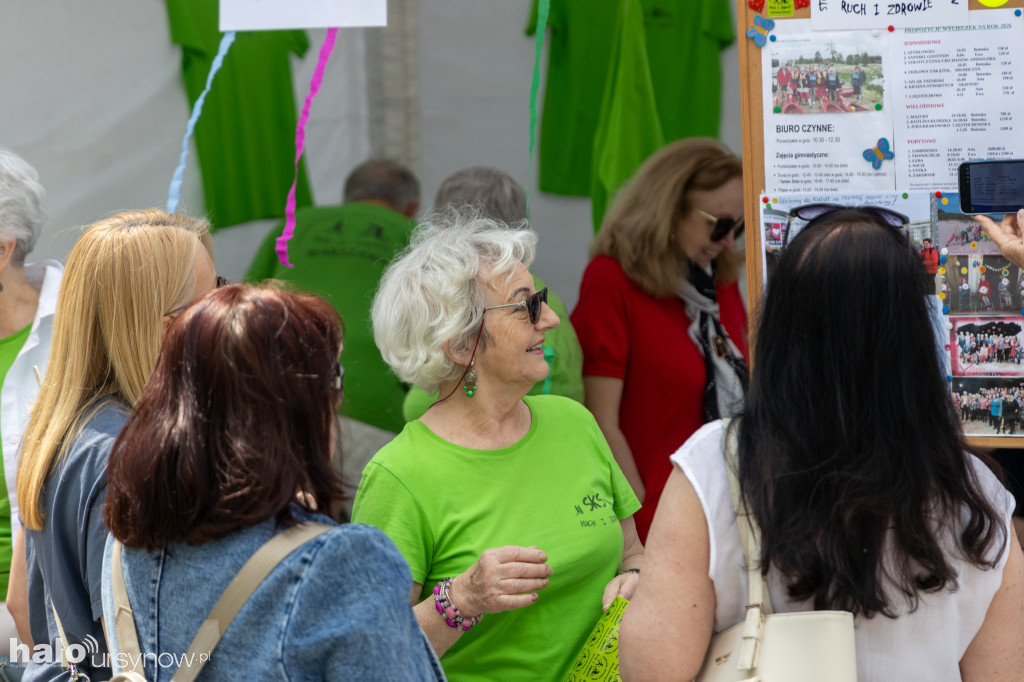 Piknik NGO 2026