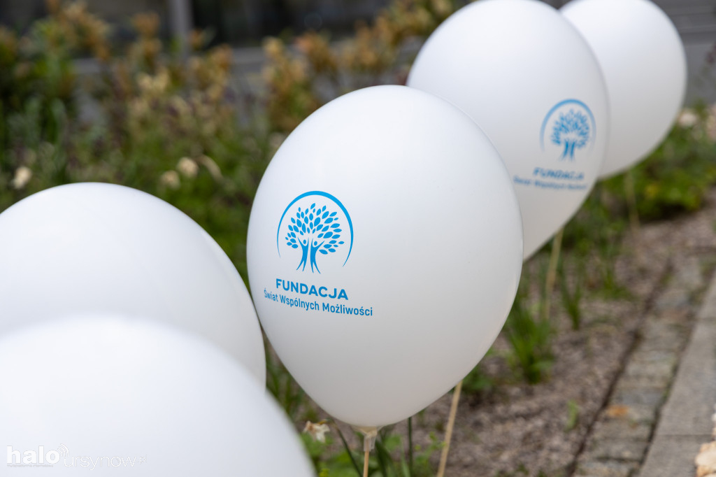 Piknik NGO 2026