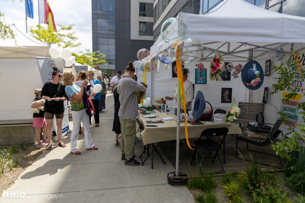 Piknik NGO 2026