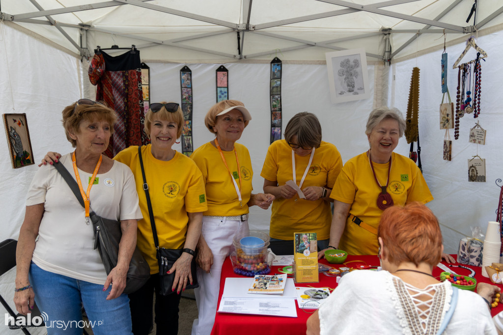 Piknik NGO 2026
