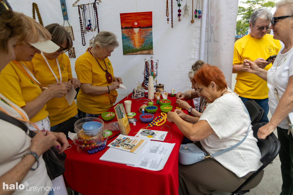 Piknik NGO 2026