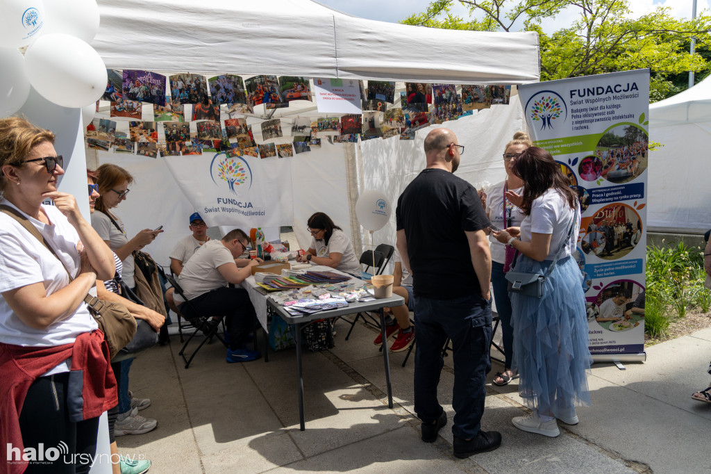 Piknik NGO 2026