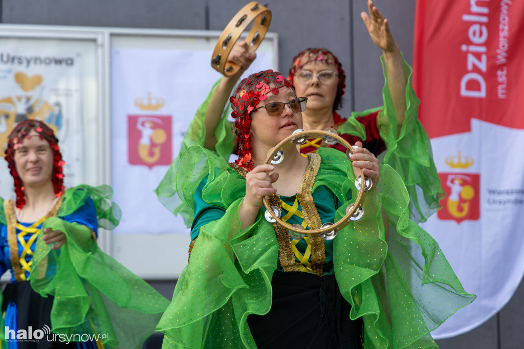 Piknik NGO 2026