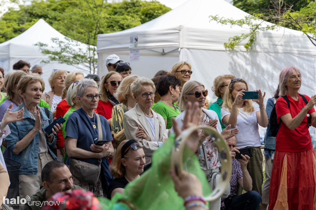 Piknik NGO 2026