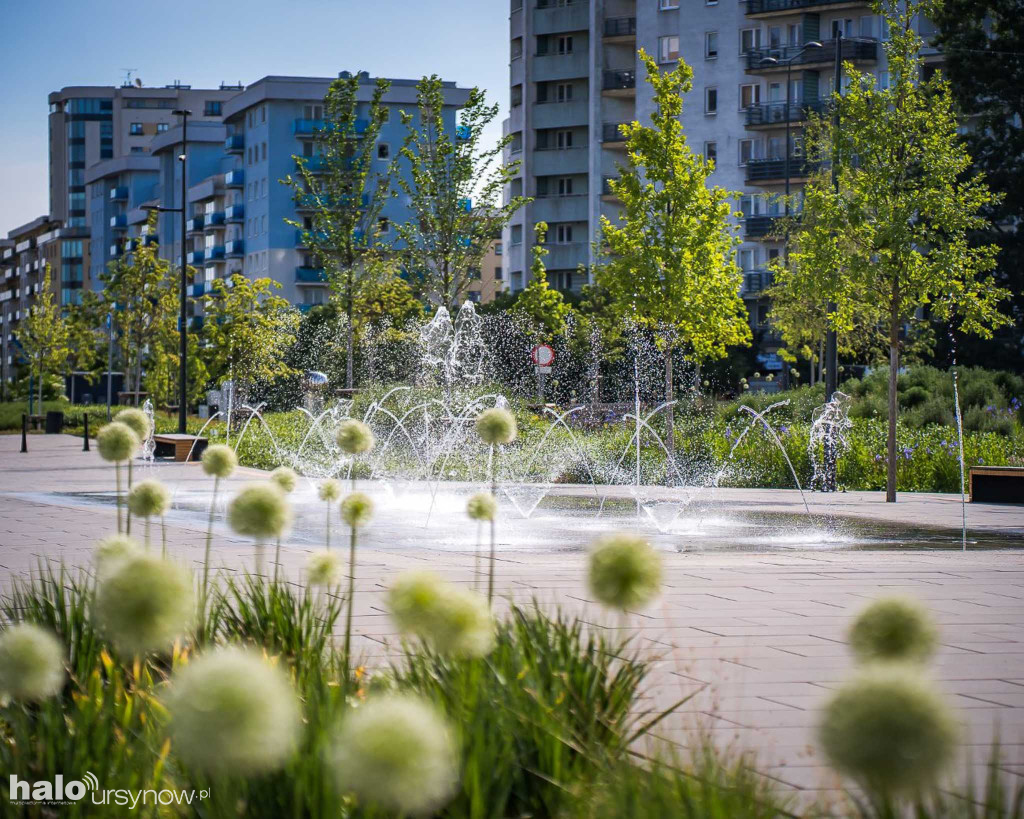 Pięknieje park nad POW. na Ursynowie