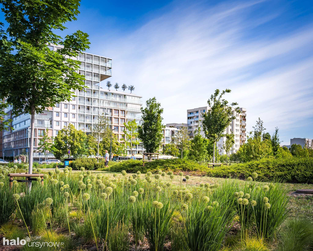 Pięknieje park nad POW. na Ursynowie