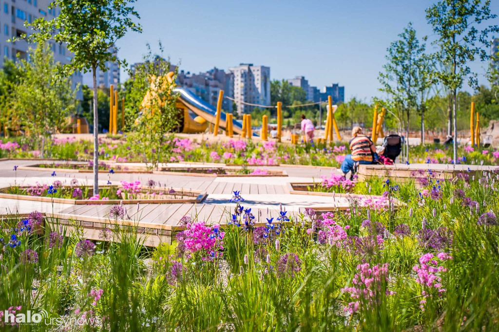 Pięknieje park nad POW. na Ursynowie